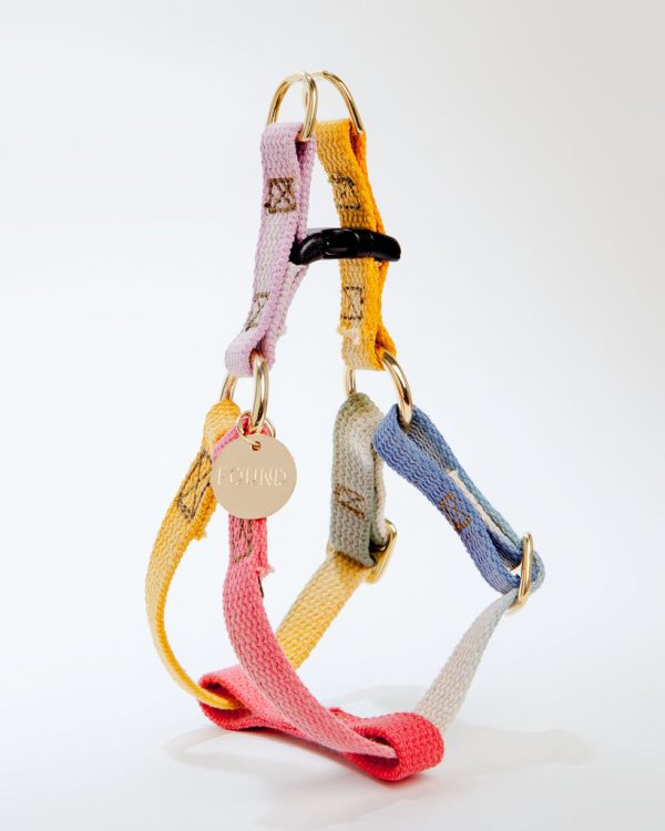 Cotton Webbing Dog Harness in Henri (Made in the USA)
