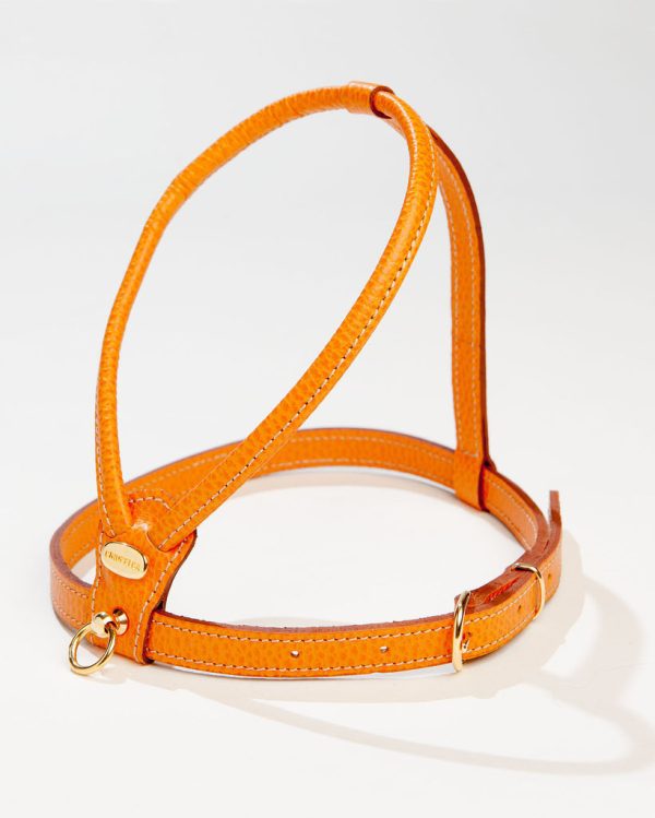Italian Leather Harness in Orange